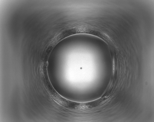 X0000059810217200510241404