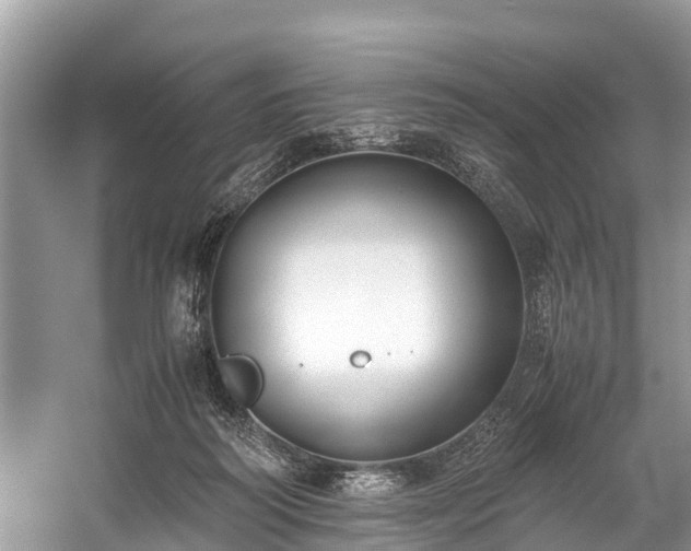 X0000059810218200510241404