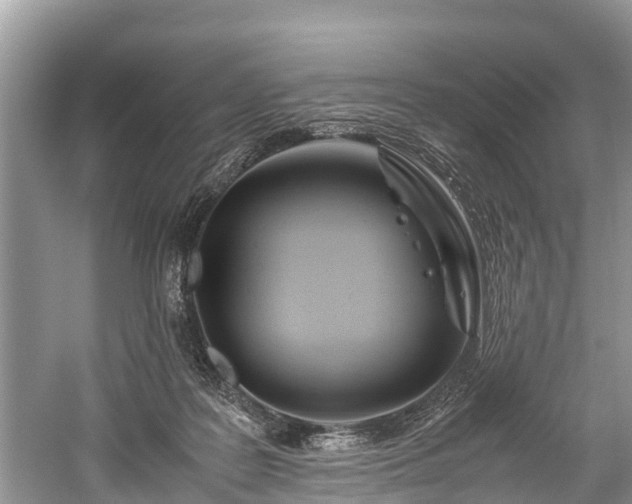 X0000059810219200510241404