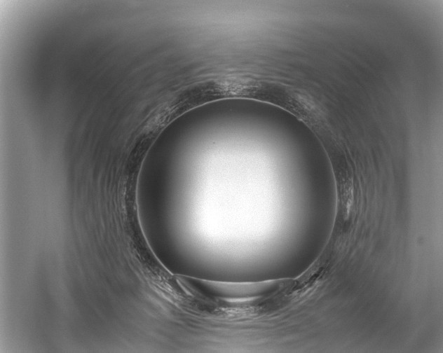 X0000059810221200510241404