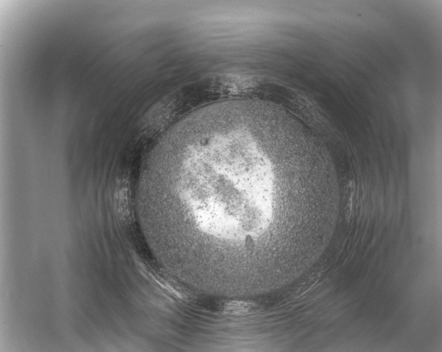 X0000059810222200510241404