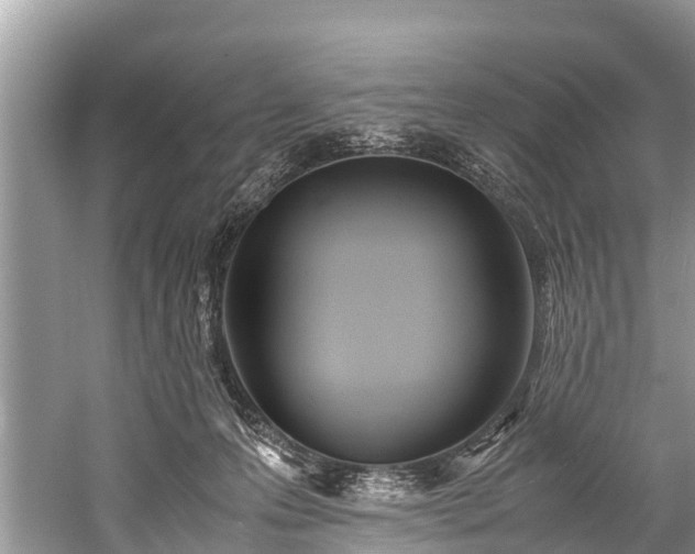 X0000059810223200510241404