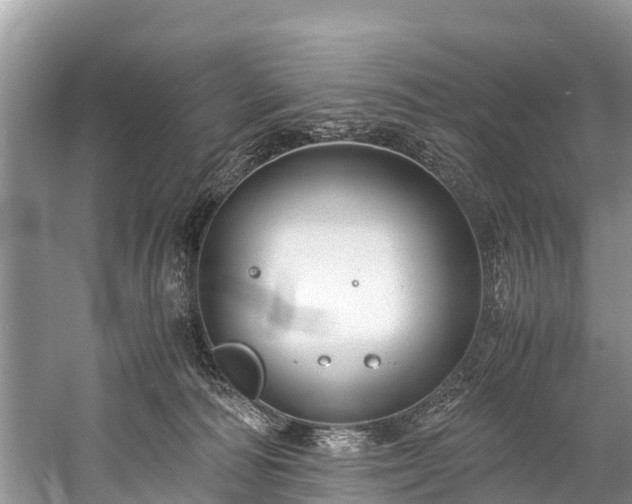 X0000059810226200510241404