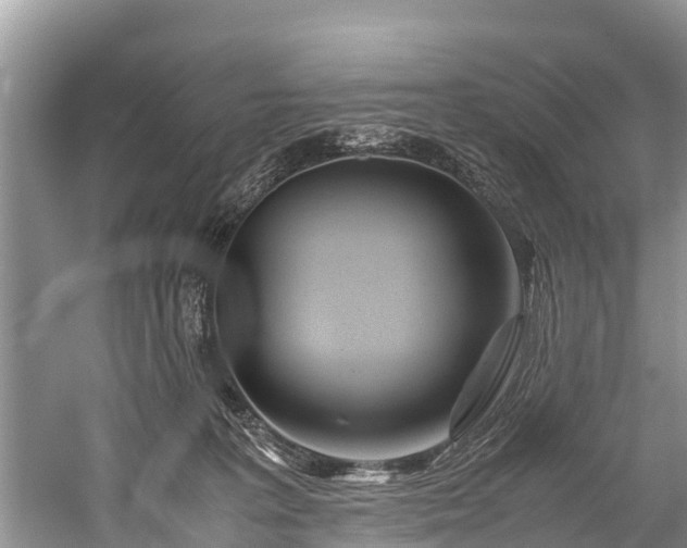 X0000059810227200510241404