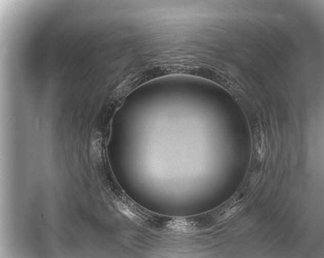 X0000059810231200510241403