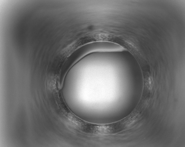 X0000059810233200510241403