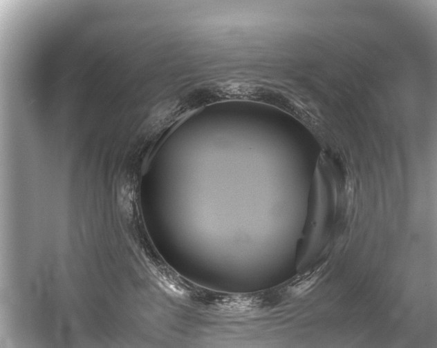 X0000059810235200510241403