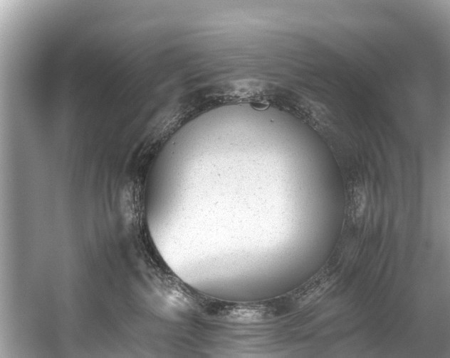 X0000059810236200510241403