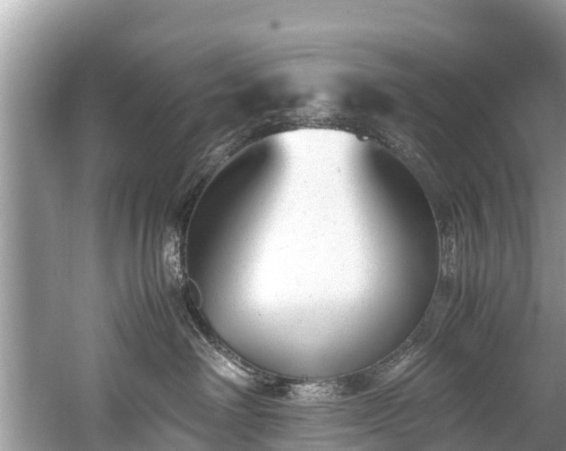 X0000059810238200510241403