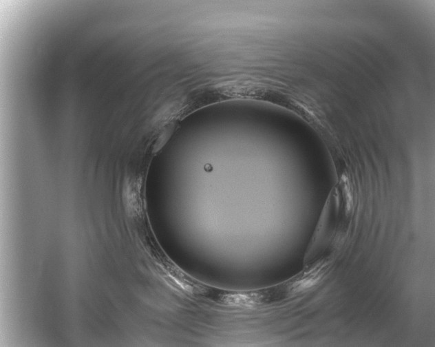 X0000059810239200510241403