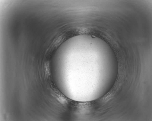 X0000059810240200510241403