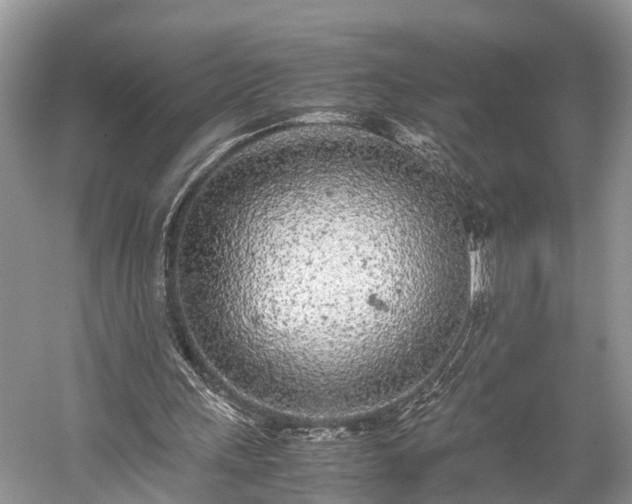 X0000059810243200510241403