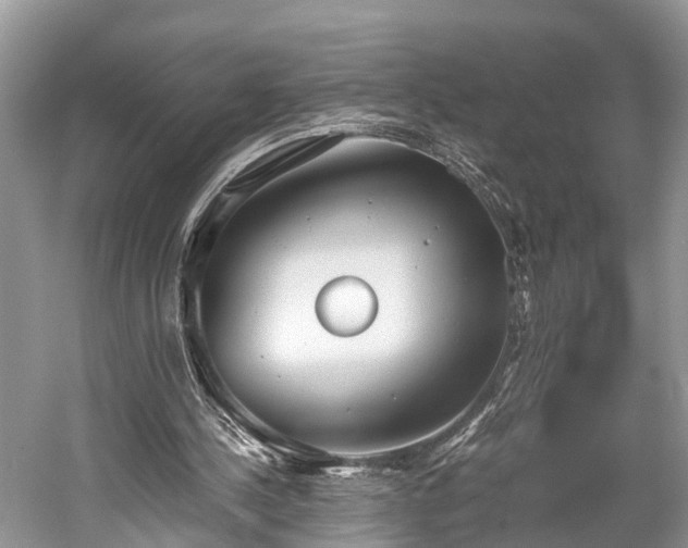 X0000059810244200510241403