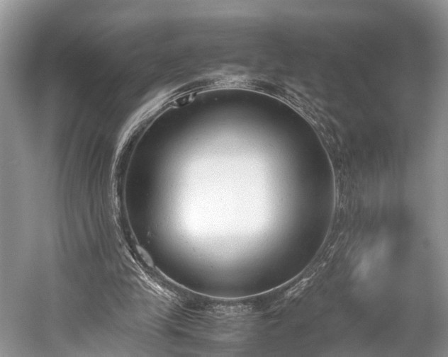 X0000059810245200510241403