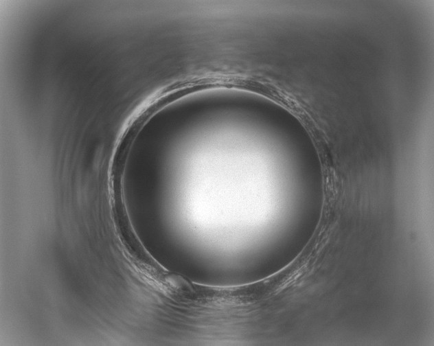 X0000059810246200510241403