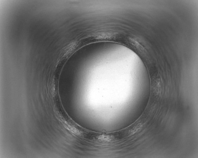 X0000059810261200510241403