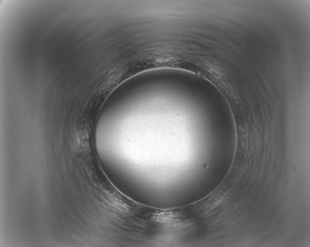 X0000059810269200510241403