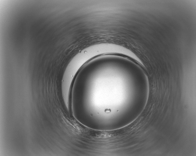 X0000059810276200510241403