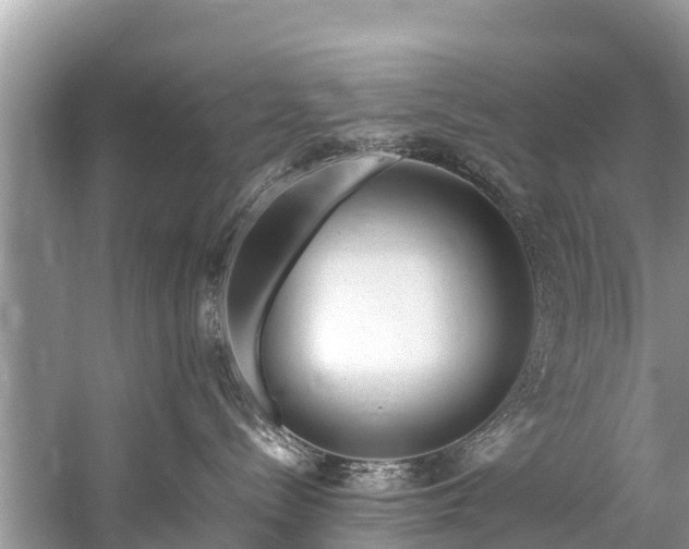 X0000059810288200510241403