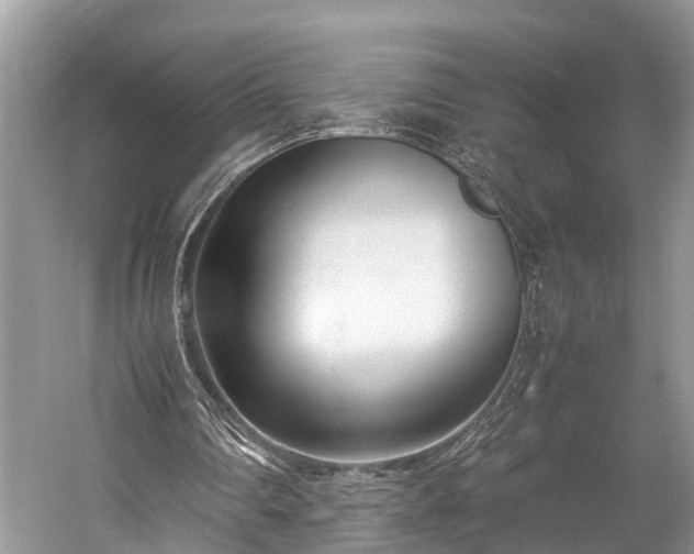 X0000059810290200510241402