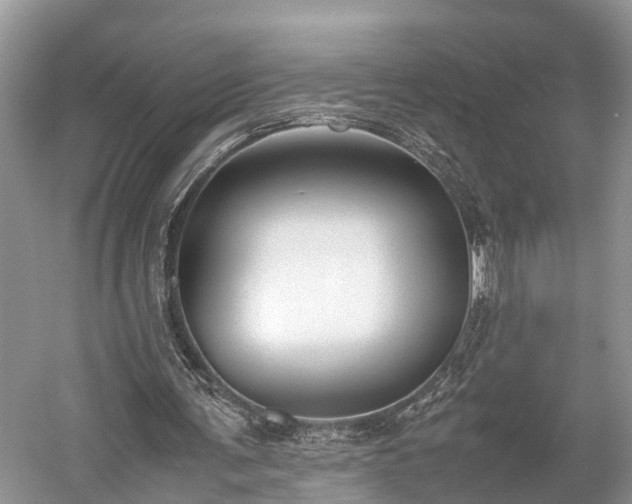 X0000059810291200510241402