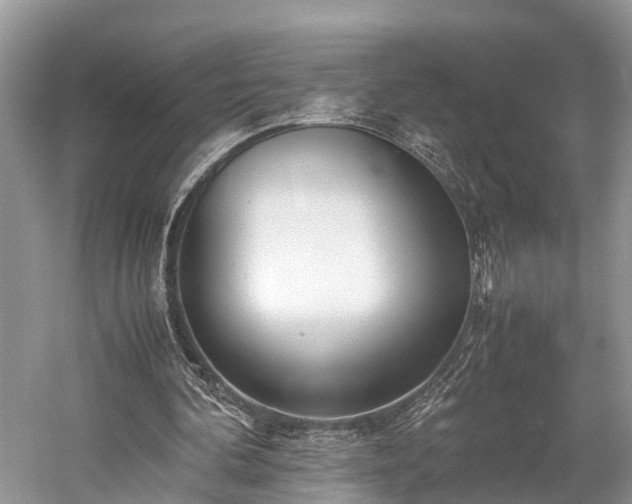 X0000059810292200510241402