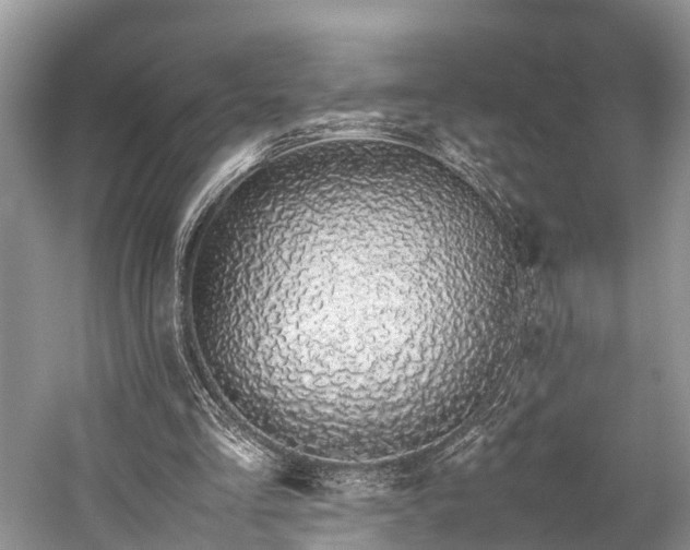 X0000059810293200510241402