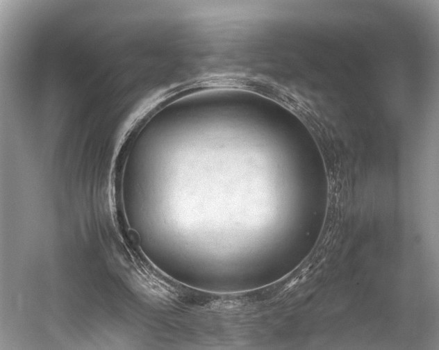 X0000059810294200510241402