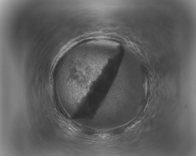 X0000059810295200510241402