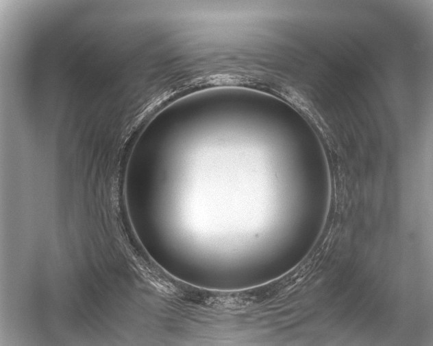 X0000059810297200510241402