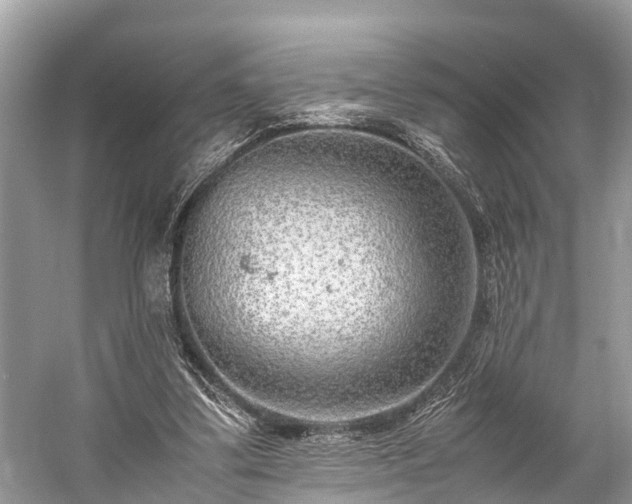 X0000059810299200510241402