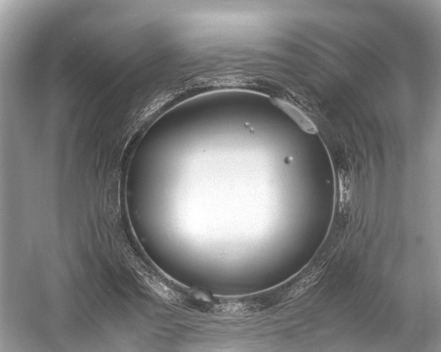 X0000059810301200510241402