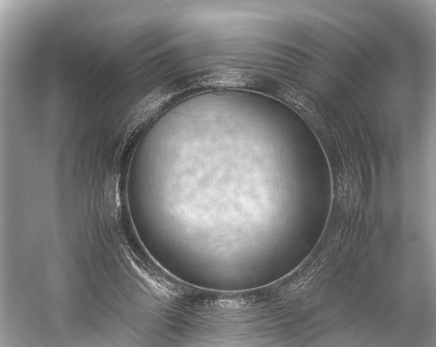 X0000059810302200510241402