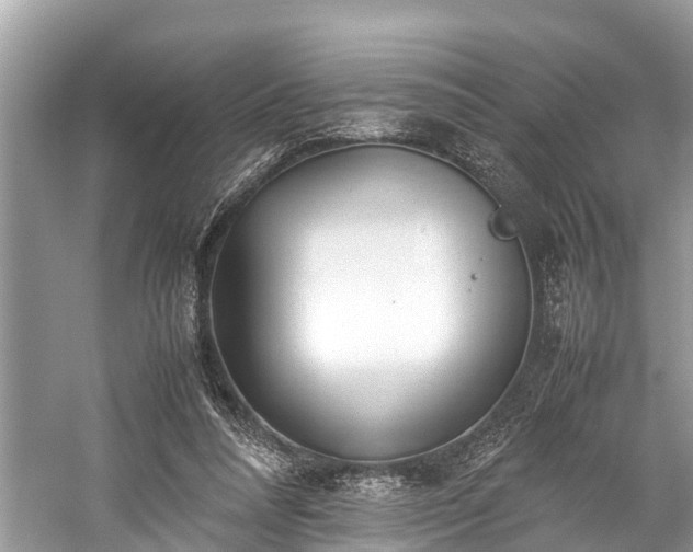 X0000059810304200510241402