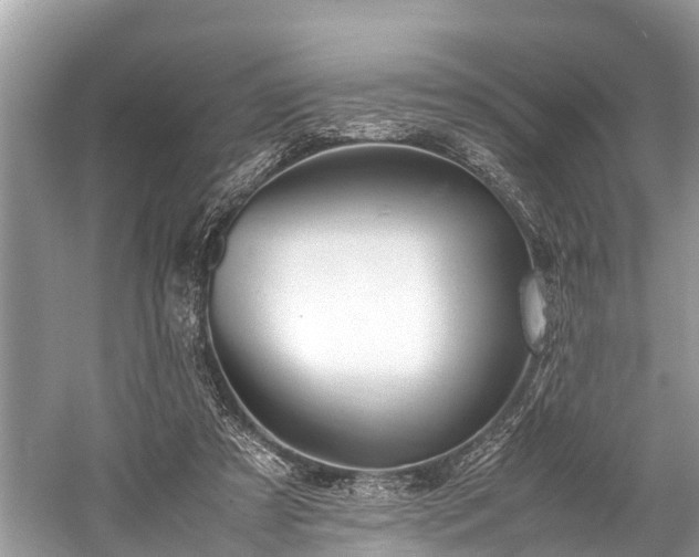 X0000059810305200510241402