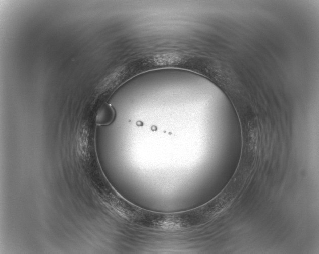 X0000059810308200510241402