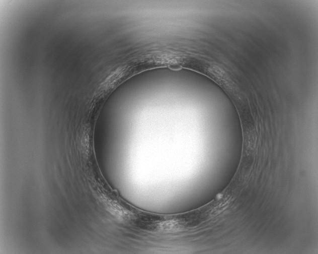 X0000059810309200510241402