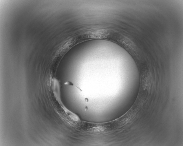 X0000059810310200510241402