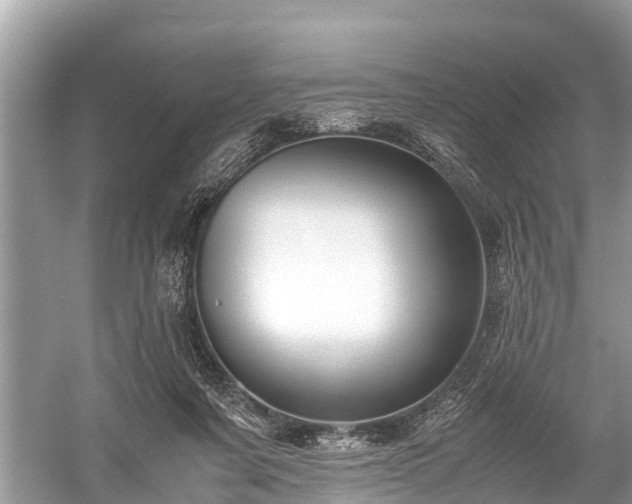 X0000059810311200510241402