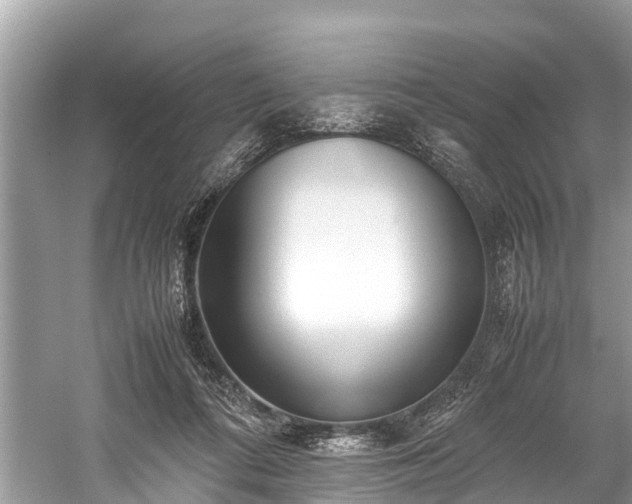 X0000059810312200510241402