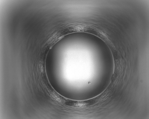 X0000059810313200510241402