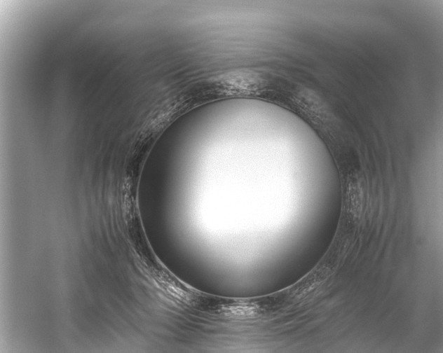 X0000059810318200510241402