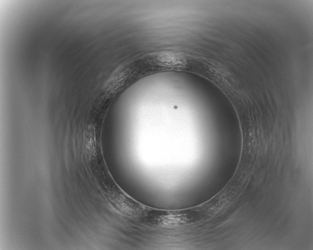 X0000059810320200510241402