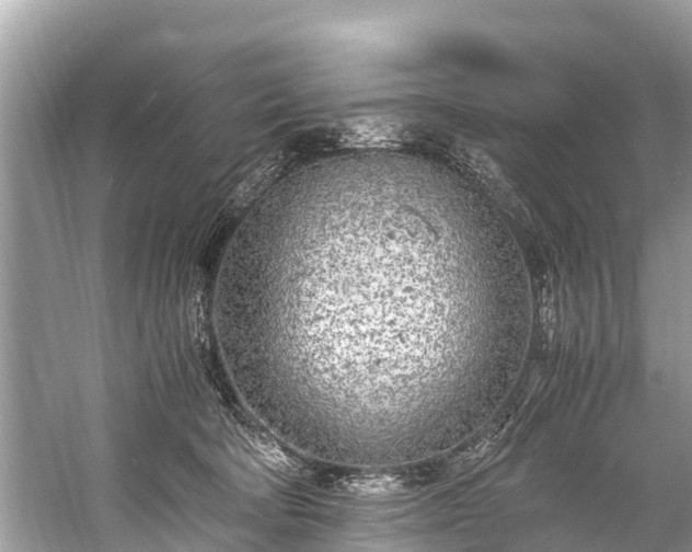 X0000059810322200510241402