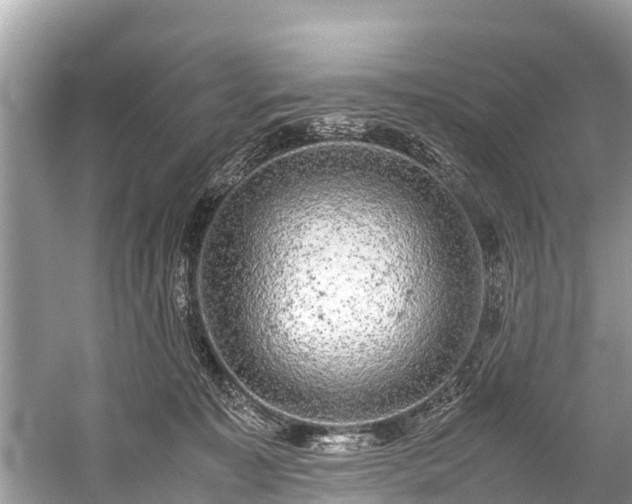 X0000059810323200510241402