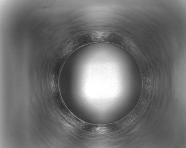 X0000059810324200510241402