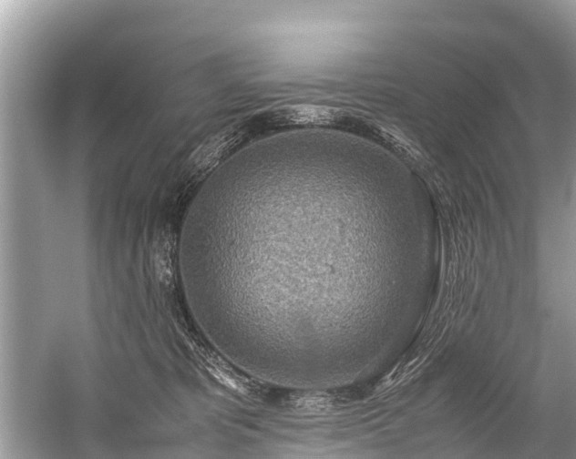 X0000059810325200510241402