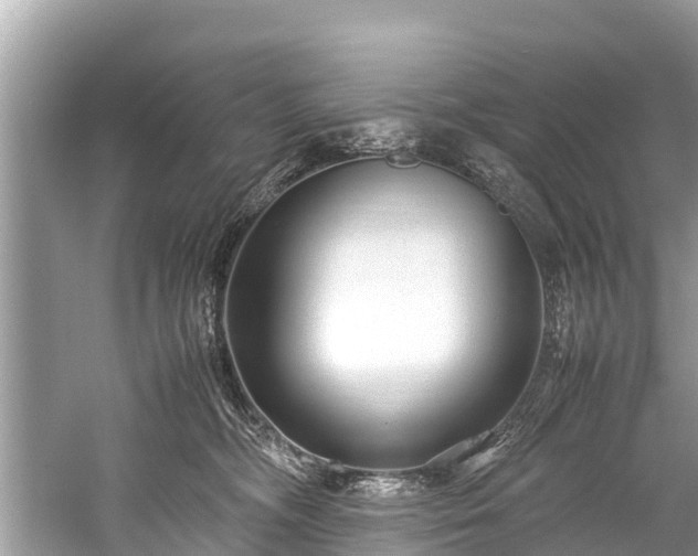 X0000059810326200510241402