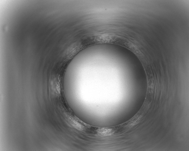 X0000059810334200510241402