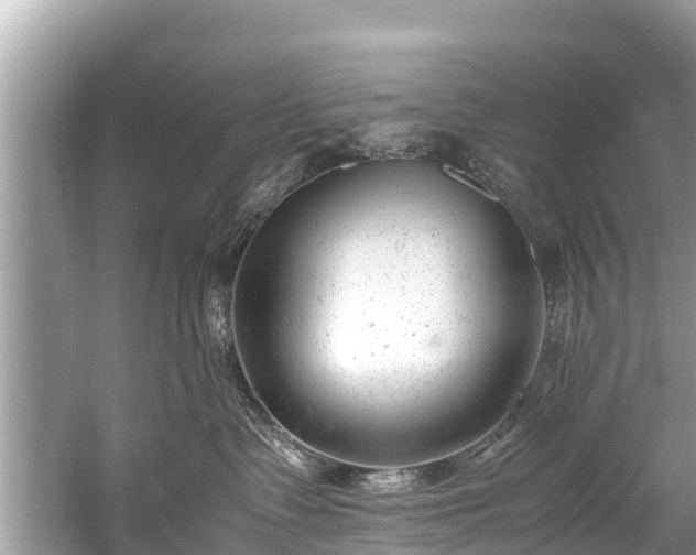 X0000059810335200510241402